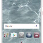 6300d8ca216e1da3079c3a867839063e